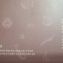 백합보육원 이미지