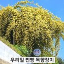 우리밀찐빵집