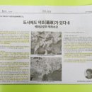 약초당한약국 네이버블로그