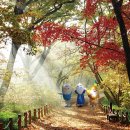 함양오토바이 이미지