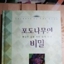 도서출판 포도나무