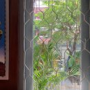 BMK(코스모 1층) 개방화장실 | 태국 방콕 여행 기념품 짜뚜짝시장, 통로 거리 알려지지 않은 분위기 좋은 힙한카페 추천!