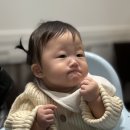 코딱지 | 귀이개 추천｜렌딕스 끈끈이 면봉 귀청소, 아기 코딱지 귀밥까지 실사용 후기