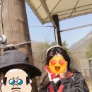 짚와이어체험장 이미지