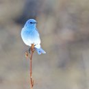 일산로428번길 네이버블로그