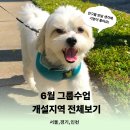 풀내음근린공원 | [서울,경기도,인천] 브리딩 6월 산책 그룹 수업 오픈!