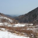 곰실골농장 이미지