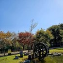 장자호수생태공원 이미지