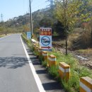 서짓골(2013년) 이미지