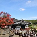 청학(옹청)박물관 이미지