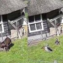 조선농장 이미지