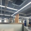 쌍봉도서관 | 마흔여섯. 쌍봉낙타