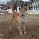 선산농장 이미지