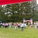 성내참사랑어린이집 | 강동구 성내일 어린이집 가족운동회 | 모두가 하나 되는 즐거운 운동회 현장 🎉