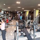 아프로휘트니스 이미지