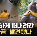 광일 이미지