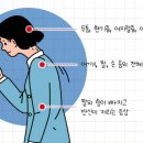 건우트레이딩 스포츠조선
