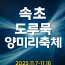 한원호 | 먹을 뻔했다?!🔥 2025년도 속초 도루묵 축제 리얼 후기｜밤에는 도루묵, 양미리 먹으러! 아침에는 구경...