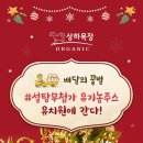 꿀벌유치원 네이버블로그