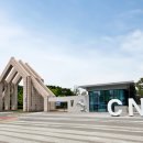 충남대로 이미지