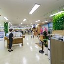 광진구청 이미지