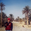 추억의 이집트, 이스라엘 여행 이미지