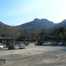 동백바다 이미지