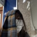 선우피카