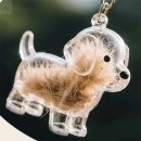 봄강아지 이미지