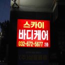 스카이바디케어 이미지