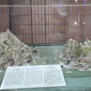 3.1운동길A 이미지