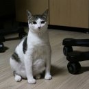 물좀다오 이미지