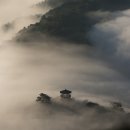 멀티시스템 이미지