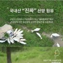 산양유요거트 이미지