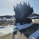 삼웅2리마을회관 이미지