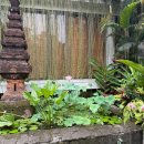 왕궁주유소 | 우붓 원지 추천 맛집 키무라멘에서 빈땅먹기, 걸어서 몽키포레스트, 우붓 왕궁, 연꽃 사원, 스타벅스 후기