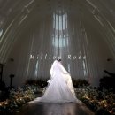 밀리언 로즈 가든 이미지