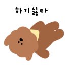 원당점핑다이어트
