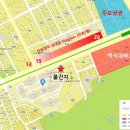 강남종합동물병원 미용실 네이버블로그