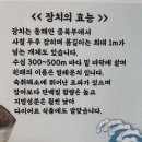주문진 맛집입니다 [월성식당 본점]- 장치찜 이미지