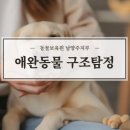 동물보육원 안산지부 이미지