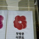 모모네일(momo) 네이버블로그