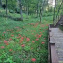 성주 유니온빌리지 이미지