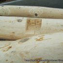 별이네농장 이미지