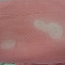 경주세탁 이미지