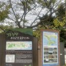 하단동144 이미지