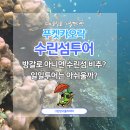 뽑기어때 | 수린섬투어 방갈로 아니면 수린섬 비추? 일일투어는 어때?