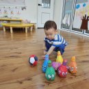 고성공룡시장 이미지