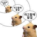 보정어학원 | [OPIC] 3일만에 오픽 IH 달성?! (ft. 청주분원 민병철어학원 시험장)