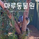 (주)필립 | 멜버른 투어 추천 필립아일랜드 마루 동물원 할인코드